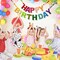 Happy Birthday Banner Felt Ball Garland Colorful Dainty Pre-Strung Rainbow Birthday Banner Reusable Happy Birthday Sign Photo Booth Props Primary Color Birthday Party Decoration for Kids Girls